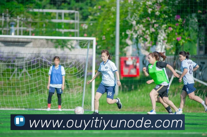 欧亿体育APP 封面图