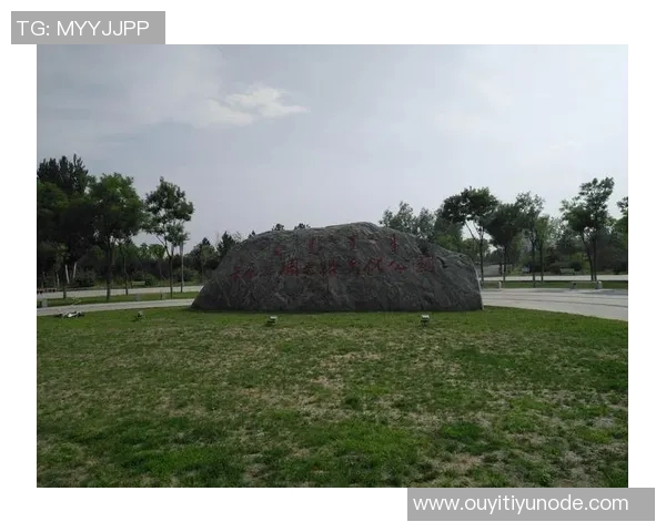 贝宁足球的重塑之路：不归门前的叹息与期待跨越半世纪的梦想